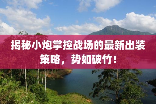 揭秘小炮掌控战场的最新出装策略，势如破竹！