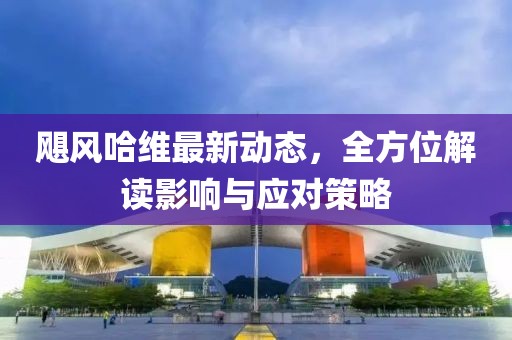 飓风哈维最新动态，全方位解读影响与应对策略