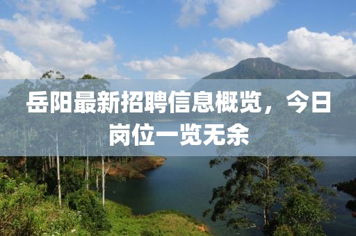 岳阳最新招聘信息概览，今日岗位一览无余