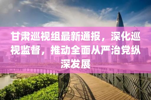 甘肃巡视组最新通报，深化巡视监督，推动全面从严治党纵深发展