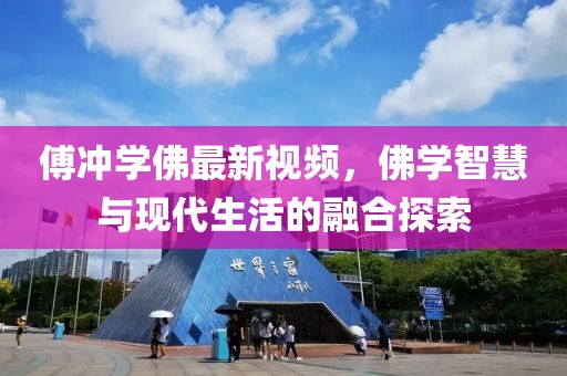 傅冲学佛最新视频，佛学智慧与现代生活的融合探索