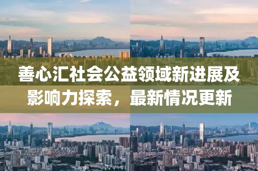 善心汇社会公益领域新进展及影响力探索，最新情况更新