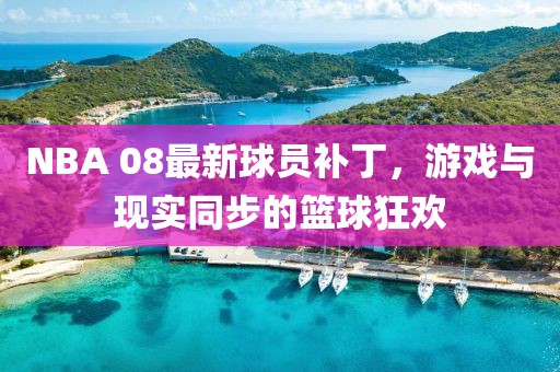 NBA 08最新球员补丁，游戏与现实同步的篮球狂欢