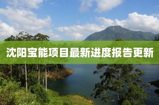 沈阳宝能项目最新进度报告更新