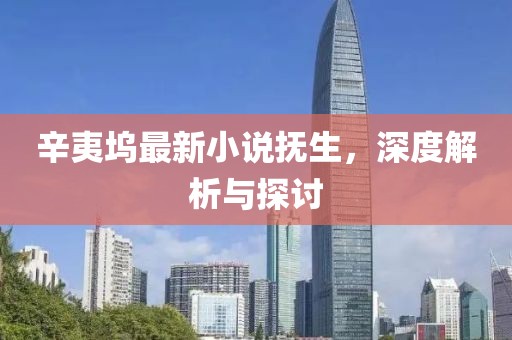 辛夷坞最新小说抚生，深度解析与探讨