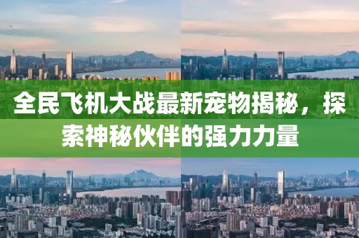 全民飞机大战最新宠物揭秘，探索神秘伙伴的强力力量
