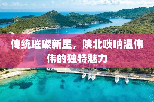 传统璀璨新星，陕北唢呐温伟伟的独特魅力