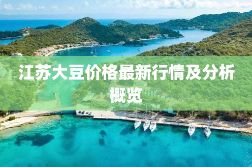 江苏大豆价格最新行情及分析概览