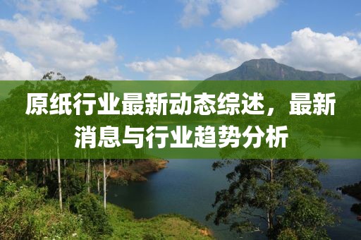 原纸行业最新动态综述，最新消息与行业趋势分析