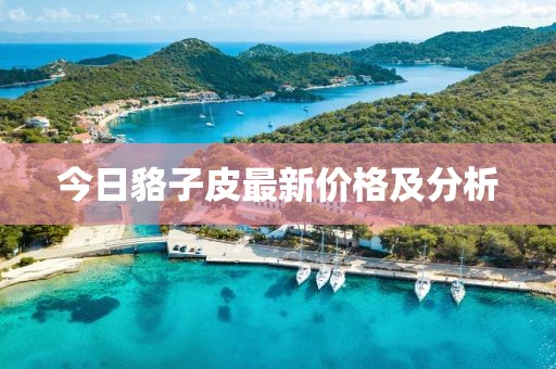 束清欢 第12页