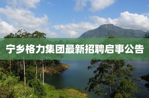 宁乡格力集团最新招聘启事公告