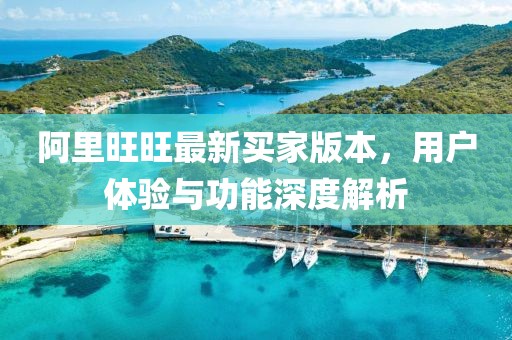 阿里旺旺最新买家版本，用户体验与功能深度解析
