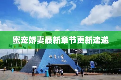 蜜宠娇妻最新章节更新速递