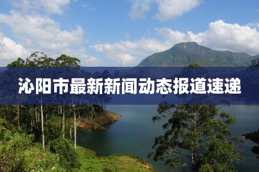 沁阳市最新新闻动态报道速递