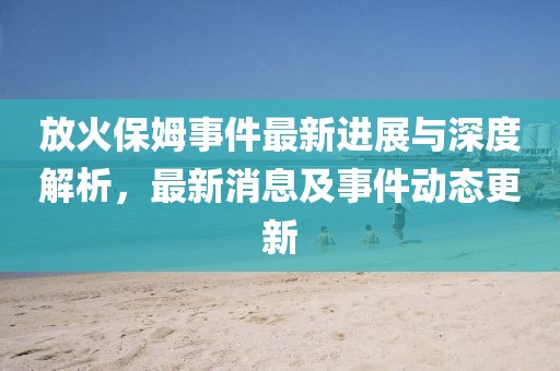 放火保姆事件最新进展与深度解析，最新消息及事件动态更新