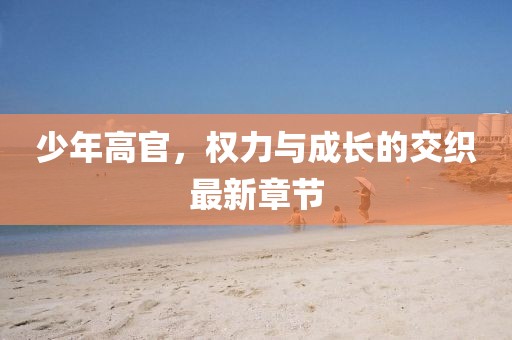 少年高官，权力与成长的交织最新章节