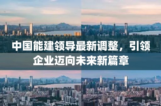 中国能建领导最新调整，引领企业迈向未来新篇章