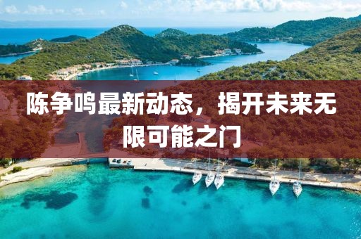 陈争鸣最新动态，揭开未来无限可能之门
