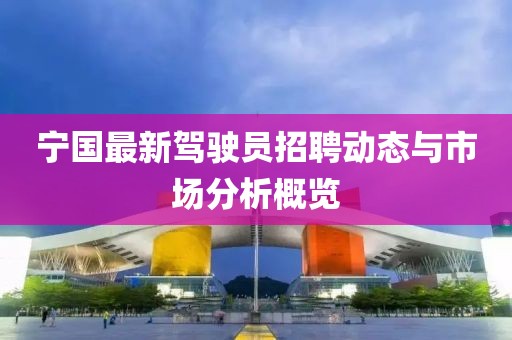 宁国最新驾驶员招聘动态与市场分析概览