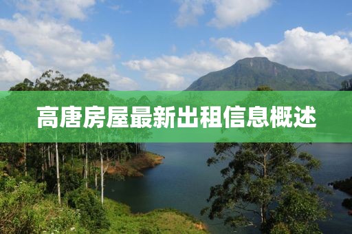 高唐房屋最新出租信息概述