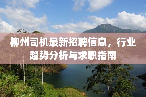 柳州司机最新招聘信息，行业趋势分析与求职指南