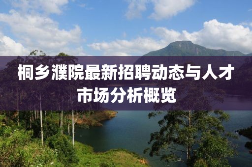 桐乡濮院最新招聘动态与人才市场分析概览