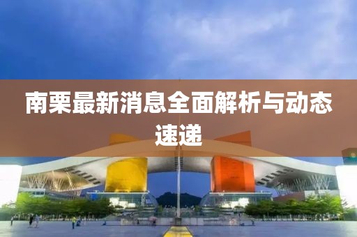 南栗最新消息全面解析与动态速递