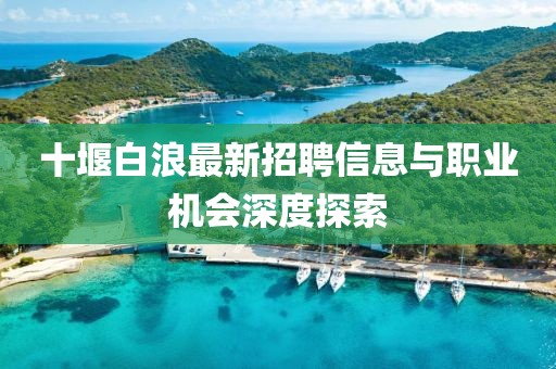 十堰白浪最新招聘信息与职业机会深度探索