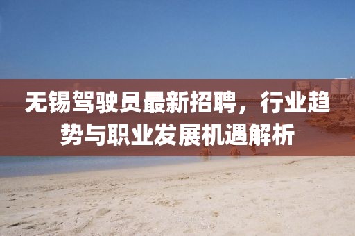 无锡驾驶员最新招聘，行业趋势与职业发展机遇解析