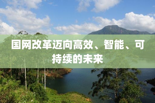 国网改革迈向高效、智能、可持续的未来