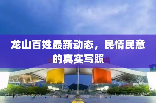 龙山百姓最新动态，民情民意的真实写照