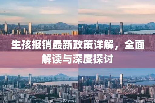 生孩报销最新政策详解，全面解读与深度探讨