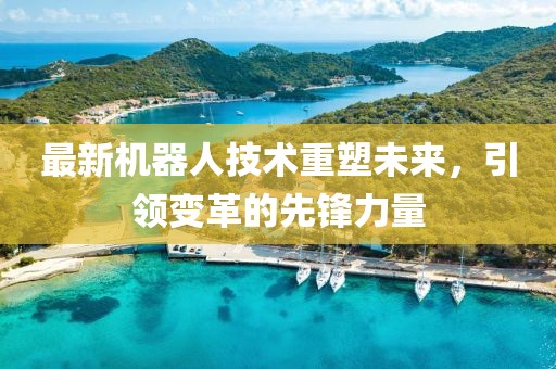 最新机器人技术重塑未来，引领变革的先锋力量