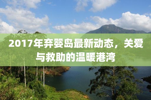 2017年弃婴岛最新动态，关爱与救助的温暖港湾