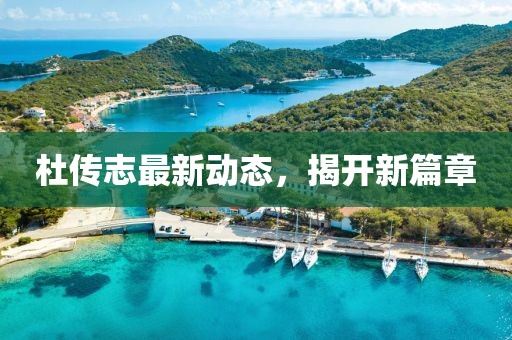 杜传志最新动态，揭开新篇章