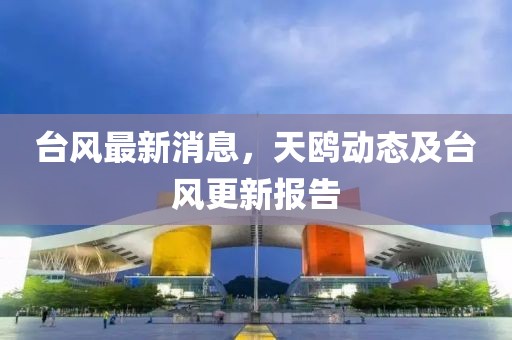 台风最新消息，天鸥动态及台风更新报告