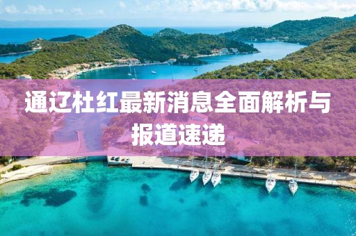 通辽杜红最新消息全面解析与报道速递