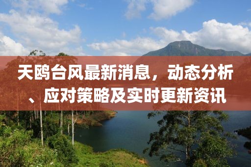 天鸥台风最新消息，动态分析、应对策略及实时更新资讯