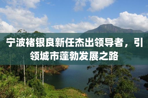 宁波褚银良新任杰出领导者，引领城市蓬勃发展之路