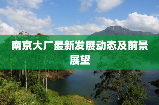 南京大厂最新发展动态及前景展望