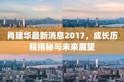 肖建华最新消息2017，成长历程揭秘与未来展望