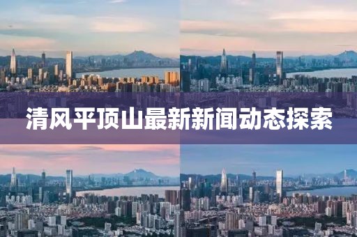 清风平顶山最新新闻动态探索