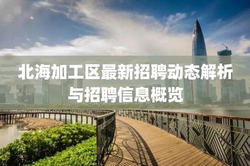 北海加工区最新招聘动态解析与招聘信息概览