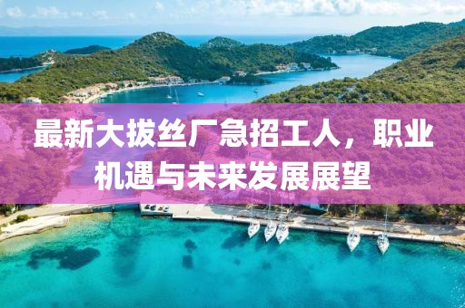 最新大拔丝厂急招工人，职业机遇与未来发展展望