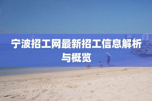 宁波招工网最新招工信息解析与概览