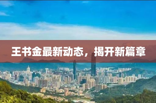 王书金最新动态，揭开新篇章