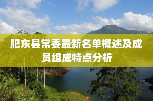 肥东县常委最新名单概述及成员组成特点分析