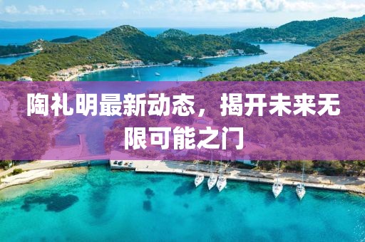 陶礼明最新动态，揭开未来无限可能之门
