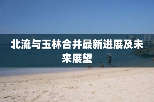 北流与玉林合并最新进展及未来展望