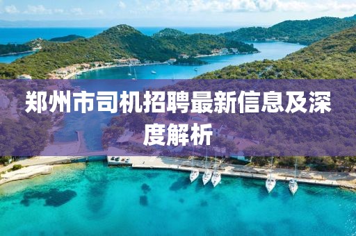 郑州市司机招聘最新信息及深度解析